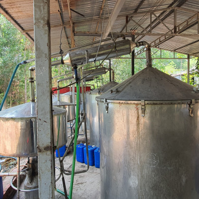 Tinh dầu Tràm Trà 10ml Mộc Mây - tinh dầu nguyên chất 100% từ thiên nhiên - chất lượng và mùi hương vượt trội