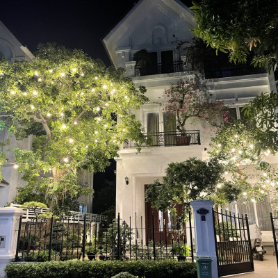 Bóng đèn LED bulb tròn LEDGOES 3W