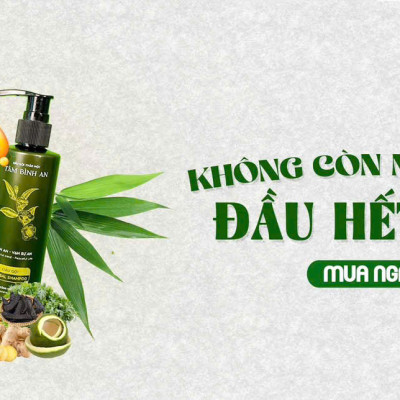 Dầu Gội Tâm Bình An giữ tron tinh túy từ các nguyên liệu thiên, cung cấp dưỡng chất từ dược liệu quý Trà Hoa Vàng - 500ml