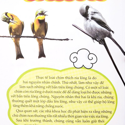 10 Vạn Câu Hỏi Vì Sao? - Chim Và Thế Giới Đại Dương