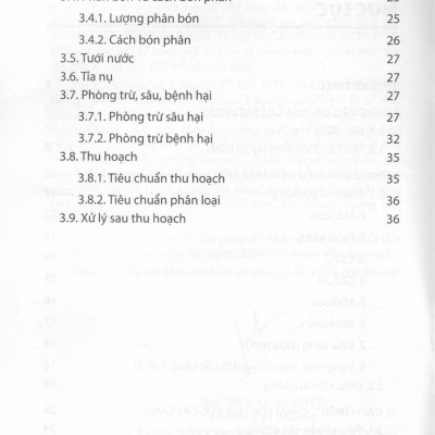 Cách Trồng, Chăm Sóc CÁC LOẠI HOA CÚC CẮT CÀNH