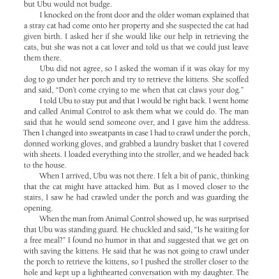 Chicken Soup For The Soul: The Dog Did What?: 101 Amazing Stories Of Magical Moments, Miracles And... Mayhem