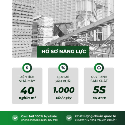 Gạo Lúa Tôm ST25 5RICE - Túi 3kg - Gạo thượng hạng thơm dẻo, đậm vị chính hãng 5RICE