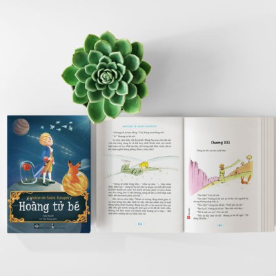 Sách - Hoàng Tử Bé ( NPH Đinh Tị Book)