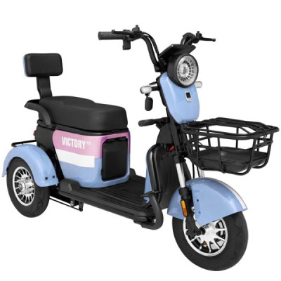 XE 3 BÁNH ĐIỆN VICTORY A1