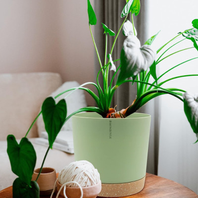 Chậu tự tưới thông minh Monrovia cho hoa, cây cảnh trong nhà và ngoài trời hình trụ tròn