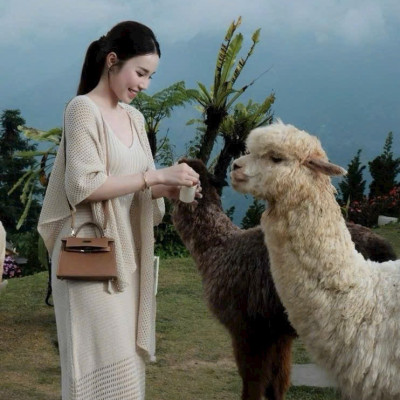 Set váy len lưới dài kèm khoác- Set váy len bầu sang chảnh