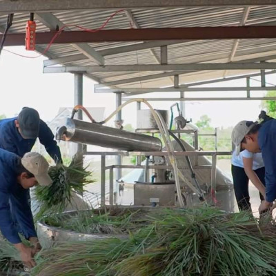 Tinh dầu sả chanh 10ml Mộc Mây - tinh dầu nguyên chất 100% từ thiên nhiên - chất lượng và mùi hương vượt trội