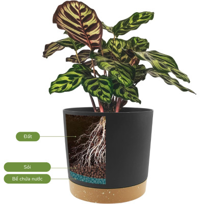 Chậu tự tưới thông minh Monrovia cho hoa, cây cảnh trong nhà và ngoài trời hình trụ tròn