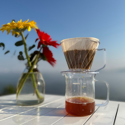 Giấy lọc cà phê Hario Pegasus Coffee Paper Filter 100 tờ, size 02, màu trắng, pha 2-4 cups (PEF-02-100W)