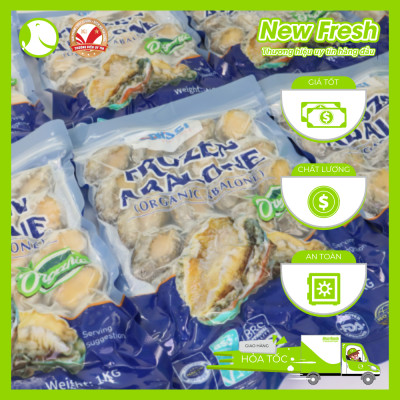 [GIAO NHANH HCM] Bào Ngư Nissi Đông Lạnh - Túi 1Kg (10-12 con)