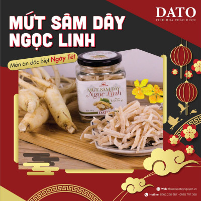 Mứt sâm dây Ngọc Linh DATO, ăn ngon,  bồi bổ cơ thể, phục hồi sức khỏe, tăng cường hệ miễn dịch