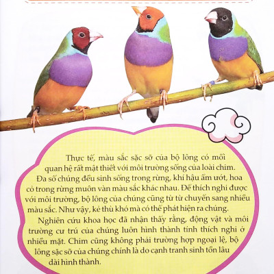 10 Vạn Câu Hỏi Vì Sao? - Chim Và Thế Giới Đại Dương