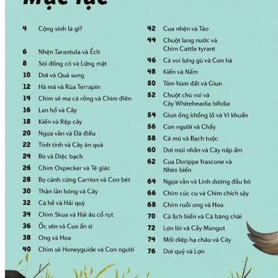 Những Cặp Bài Trùng Trong Thế Giới Động Vật – Mối Quan Hệ Cộng Sinh Thú Vị Trong Thế Giới Động Thực Vật