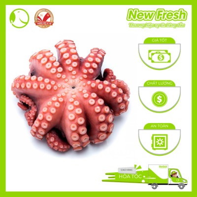 Râu Bạch Tuộc Tako Nhật Bản - Khay 1kg