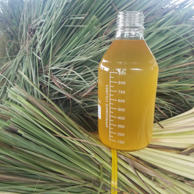 Tinh dầu Sả Chanh Organic 50ml Mộc Mây - tinh dầu nguyên chất từ thiên nhiên - Có kiểm định Bộ Y Tế, chất lượng và mùi hương vượt trội