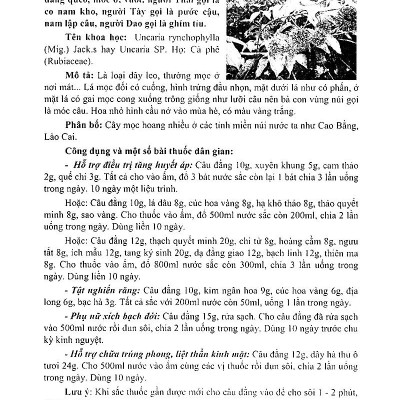 Bách Khoa Những Cây Thuốc Và Vị Thuốc Việt Nam