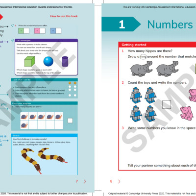 Cambridge Primary Mathematics Learner