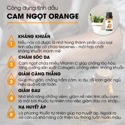 Combo 3 Tinh Dầu Kobi Nhập Khẩu Ấn Độ: Tinh Dầu Oải Hương (30ml) + Tinh Dầu Cam Ngọt (30ml) + Tinh Dầu Vỏ Quế (30ml) - Tinh Dầu Thiên Nhiên Nguyên Chất, Tinh Dầu Xông Phòng