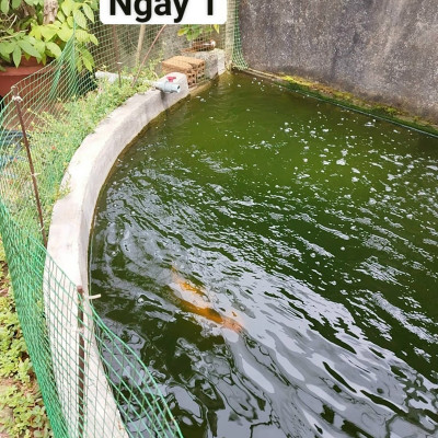  Đèn UV 200W AQUA SUV+ Diệt Khuẩn, Rêu Tảo Hồ Cá Koi , Xử Lý Nước Thải, Nước Sinh Hoạt Trong 7 Ngày