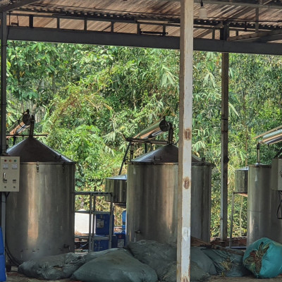 Tinh dầu Chanh tươi (Chanh Thái) 50ml Mộc Mây - tinh dầu thiên nhiên nguyên chất 100% - chất lượng và mùi hương vượt trội - Có kiểm định