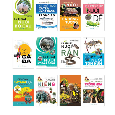 Cách Chọn Cây Mai Đẹp