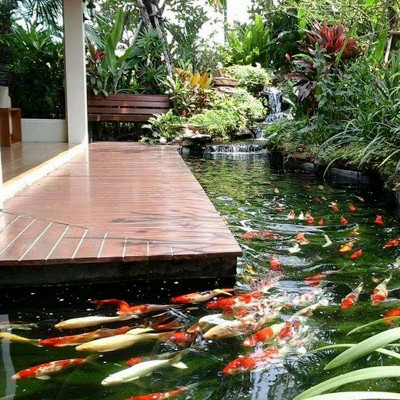 Đèn UV 75W Bóng Kép chất lượng cao, diệt tảo, diệt khuẩn cho bể cá, hồ cá, hồ thủy sinh siêu sạch ( Trắng)