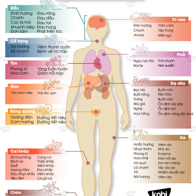 Tinh Dầu Nguyệt Quế Kobi Bay Leaf Essential Oil Giúp Đuổi Muỗi, Khử Mùi, Làm Thơm Phòng - 5ml