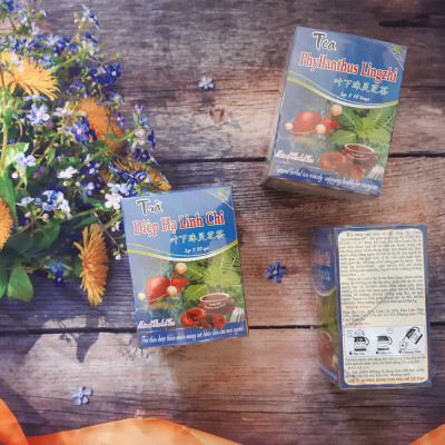Combo 5 Hộp Trà Diệp Hạ Linh Chi (Hộp 50 Túi Lọc x 2g) -  Hỗ Trợ Viêm Gan B , Mỡ Máu- Nguyên Thái Trang - Thảo Dược Thiên Nhiên - Tốt Cho Sức Khỏe