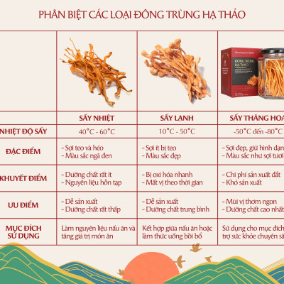Đông trùng hạ thảo Kingdom Herb chính hãng loại thượng hạng sấy thăng hoa hộp 10 gram (tặng bình nước thủy tinh cao cấp)