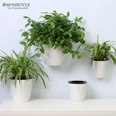 Chậu tự tưới treo tường Monrovia, treo hoa ban công, trong nhà, sang trọng, tiện lợi, tiêu chuẩn châu Âu
