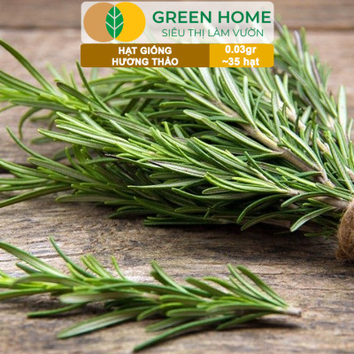 Hạt Giống Cây Hương Thảo GreenHome, Rosemary, Gói 0,03g~35 hạt, Dễ Trồng, Thu Hoạch Quanh Năm G06
