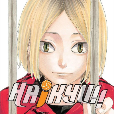 Haikyu!! - Tập 35 - Lồng Chim (Tái Bản 2024)