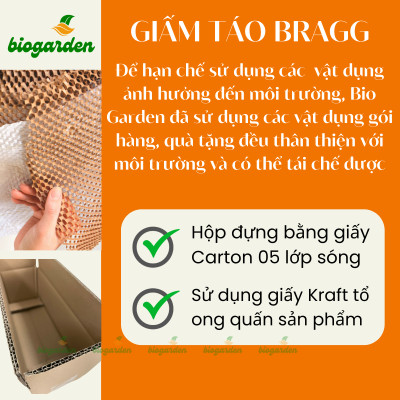 Giấm Táo Hữu Cơ Bragg Nhập Khẩu Chính Hãng Từ Mỹ