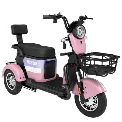 XE 3 BÁNH ĐIỆN VICTORY A1