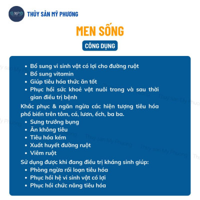 Men tiêu hóa nông to đường ruột men sống ngừa kích thích tăng đề kháng lớn nhanh tăng trọng tôm thẻ cá lươn ếch ốc ba ba