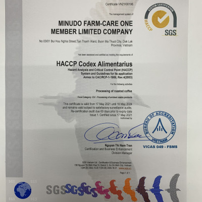 Đặc Sản Buôn Mê Thuột - Cà Phê Đặc Sản Aeroco A1, Hộp 250G, Pha Phin, Nguyên Chất 100% Rang Mộc Hậu Vị Ngọt Thơm Quyến Rũ