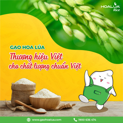 Gạo Hoa Lúa Xanh - Túi 2kg - Tơi xốp, mềm cơm, dẻo ít, thơm nhẹ