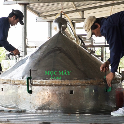 Tinh dầu hoa Lài (nhài) 10ml Mộc Mây - tinh dầu nguyên chất 100% từ thiên nhiên - chất lượng và mùi hương vượt trội