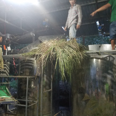 Tinh dầu Sả Chanh Organic 50ml Mộc Mây - tinh dầu nguyên chất từ thiên nhiên - Có kiểm định Bộ Y Tế, chất lượng và mùi hương vượt trội