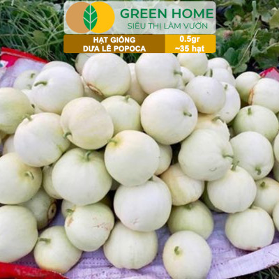Hạt Giống Dưa Lê Popoca Siêu Ngọt, Greenhome, Gói 0.5GR~35 hạt, Dễ Trồng Quanh Năm, Nảy Mầm Cao, T25