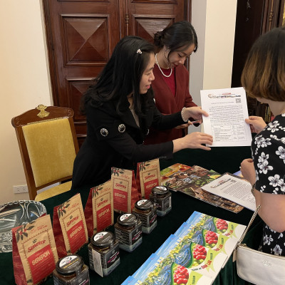 Mật Ong Hoa Cà Phê Jade Mountain Nguyên Chất Thu Hoạch Tự Nhiên Chất Lượng Cao 380ml