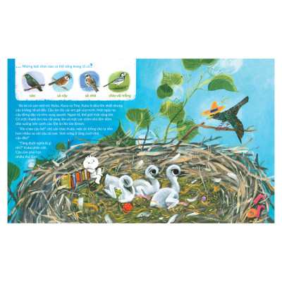 Sách cho bé - Tuli Tuli Kể Chuyện Nhà Ai Ở Đâu - Nhà Chim Trên Đồng Cỏ - Sách tranh cho bé