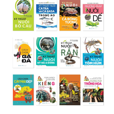 Thú Chơi Mai Của Người Xưa