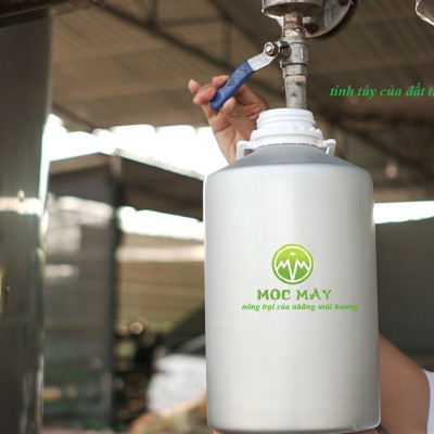 Tinh dầu Tràm Organic hữu cơ 10ml Mộc Mây - tinh dầu thiên nhiên nguyên chất 100% - dùng xông tắm ngừa cảm lạnh, giảm côn trùng cắn đốt cho Bé, Trẻ sơ sinh và Trẻ nhỏ | An toàn cho làn da nhạy cảm của Bé